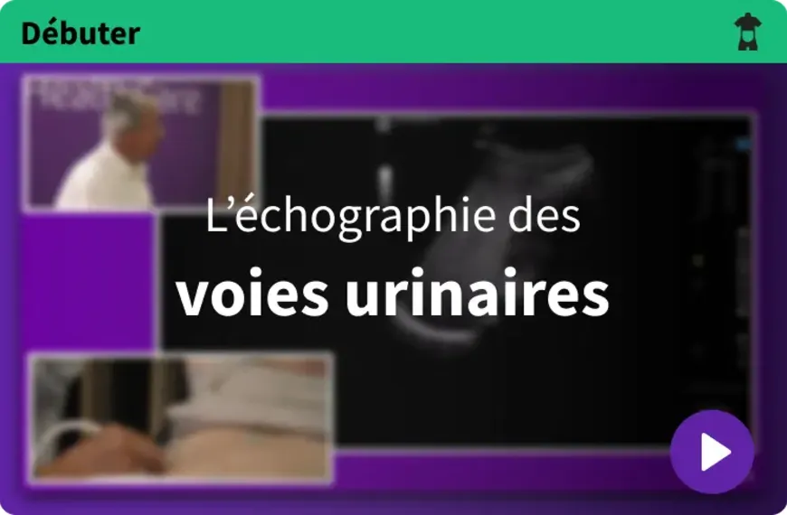 Débuter l'échographie abdominale en médecine générale : Les voies urinaires [3/4]